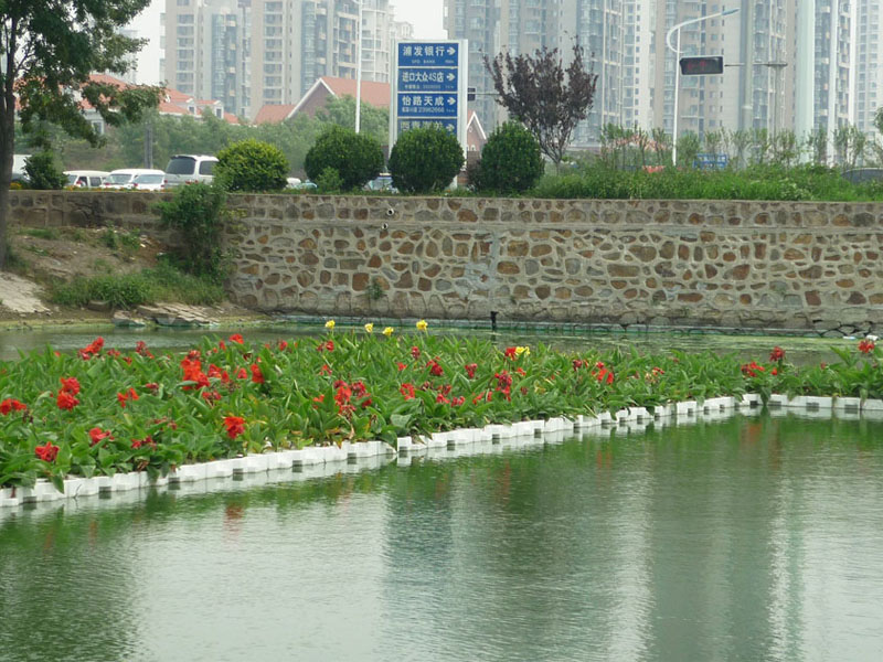 水生植物在园林造景中的应用